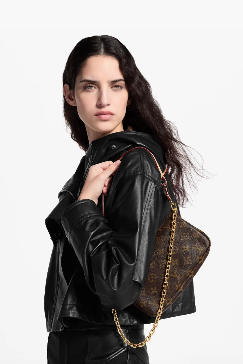 LOUIS VUITTON Icon Accessory Pouch in Brown Monogram Canvas 4